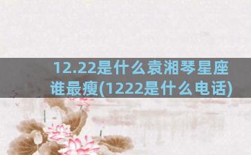 12.22是什么袁湘琴星座谁最瘦(1222是什么电话)