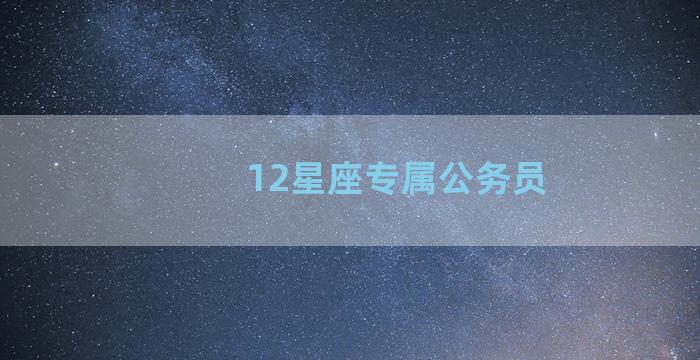 12星座专属公务员