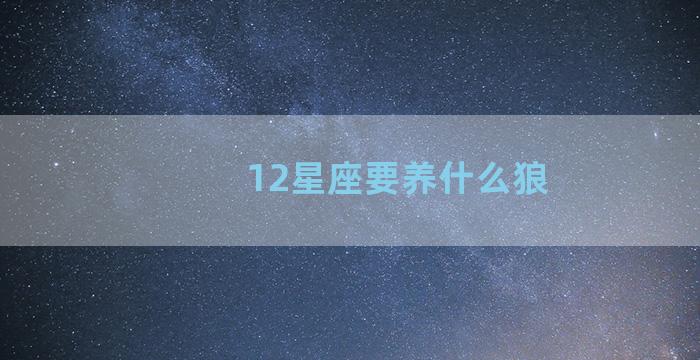 12星座要养什么狼