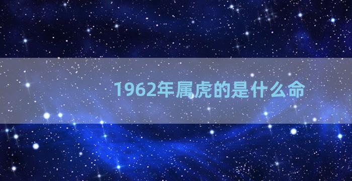 1962年属虎的是什么命