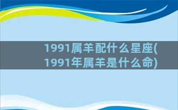 1991属羊配什么星座(1991年属羊是什么命)