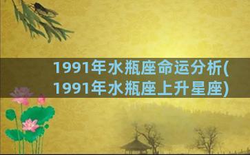 1991年水瓶座命运分析(1991年水瓶座上升星座)