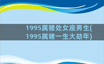 1995属猪处女座男生(1995属猪一生大劫年)