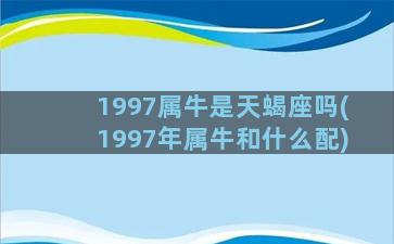 1997属牛是天蝎座吗(1997年属牛和什么配)