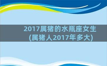 2017属猪的水瓶座女生(属猪人2017年多大)