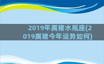 2019年属猪水瓶座(2019属猪今年运势如何)