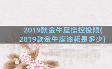 2019款金牛座操控极限(2019款金牛座油耗是多少)