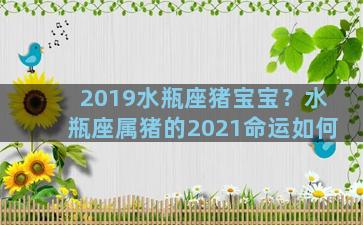 2019水瓶座猪宝宝？水瓶座属猪的2021命运如何