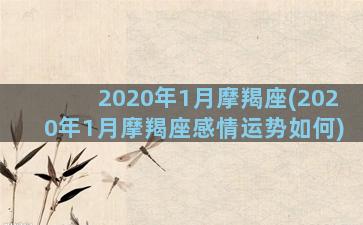 2020年1月摩羯座(2020年1月摩羯座感情运势如何)