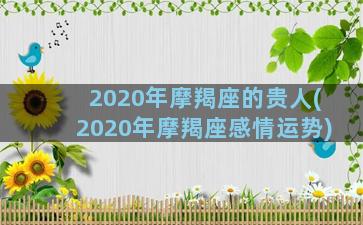 2020年摩羯座的贵人(2020年摩羯座感情运势)