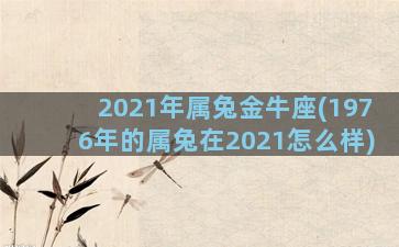 2021年属兔金牛座(1976年的属兔在2021怎么样)