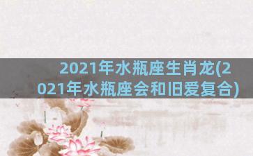 2021年水瓶座生肖龙(2021年水瓶座会和旧爱复合)