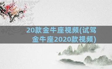 20款金牛座视频(试驾金牛座2020款视频)