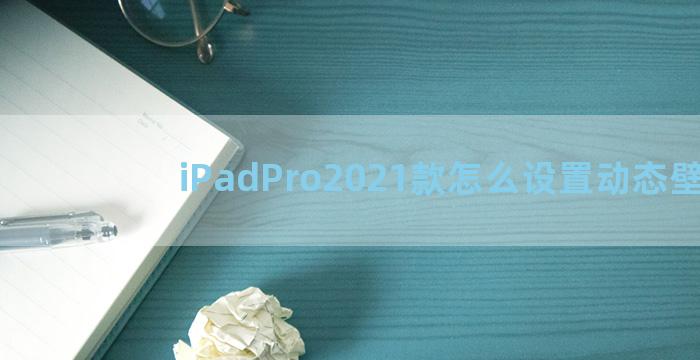 iPadPro2021款怎么设置动态壁纸