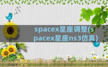 spacex星座调整(spacex星座ns3仿真)