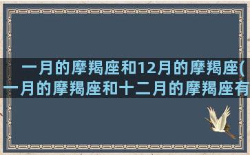 一月的摩羯座和12月的摩羯座(一月的摩羯座和十二月的摩羯座有什么区别)