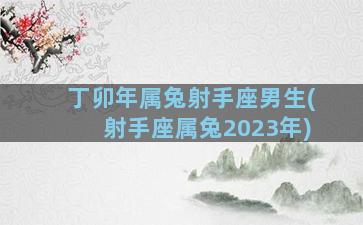 丁卯年属兔射手座男生(射手座属兔2023年)