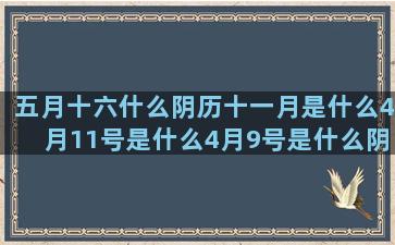 五月十六什么阴历十一月是什么4月11号是什么4月9号是什么阴历二月是什么星座是看阴历还是看阳历(2022年阴历五月十六)