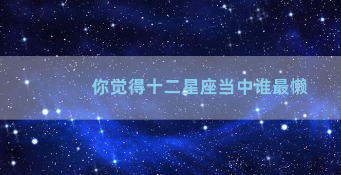 你觉得十二星座当中谁最懒