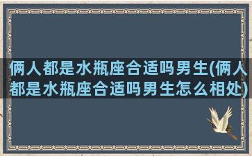 俩人都是水瓶座合适吗男生(俩人都是水瓶座合适吗男生怎么相处)