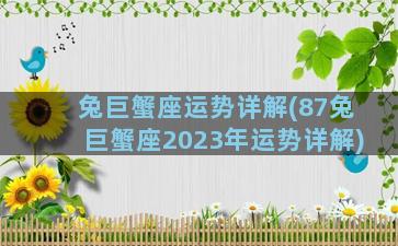 兔巨蟹座运势详解(87兔巨蟹座2023年运势详解)