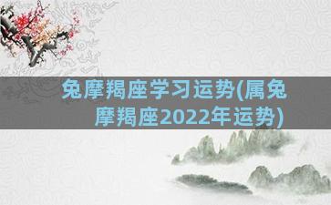 兔摩羯座学习运势(属兔摩羯座2022年运势)