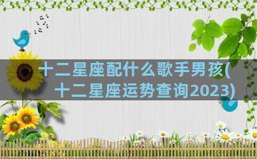 十二星座配什么歌手男孩(十二星座运势查询2023)