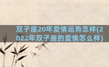 双子座20年爱情运势怎样(2022年双子座的爱情怎么样)