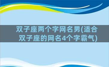 双子座两个字网名男(适合双子座的网名4个字霸气)