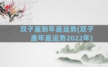 双子座到年底运势(双子座年底运势2022年)