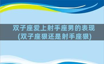 双子座爱上射手座男的表现(双子座狠还是射手座狠)