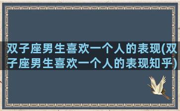 双子座男生喜欢一个人的表现(双子座男生喜欢一个人的表现知乎)