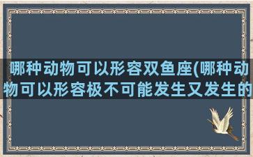 哪种动物可以形容双鱼座(哪种动物可以形容极不可能发生又发生的事情)