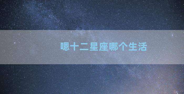 嗯十二星座哪个生活