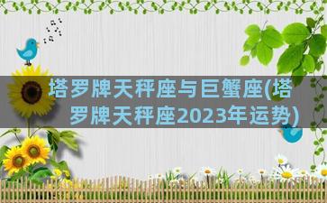 塔罗牌天秤座与巨蟹座(塔罗牌天秤座2023年运势)