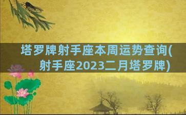 塔罗牌射手座本周运势查询(射手座2023二月塔罗牌)