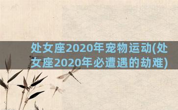 处女座2020年宠物运动(处女座2020年必遭遇的劫难)