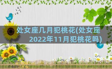 处女座几月犯桃花(处女座2022年11月犯桃花吗)