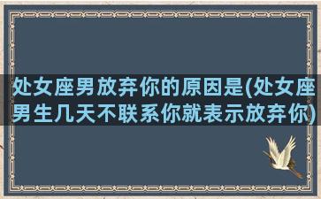 处女座男放弃你的原因是(处女座男生几天不联系你就表示放弃你)