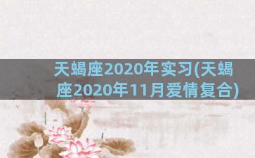 天蝎座2020年实习(天蝎座2020年11月爱情复合)