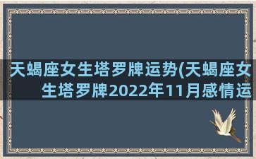 天蝎座女生塔罗牌运势(天蝎座女生塔罗牌2022年11月感情运势视频)