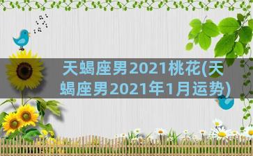 天蝎座男2021桃花(天蝎座男2021年1月运势)