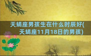 天蝎座男孩生在什么时辰好(天蝎座11月18日的男孩)