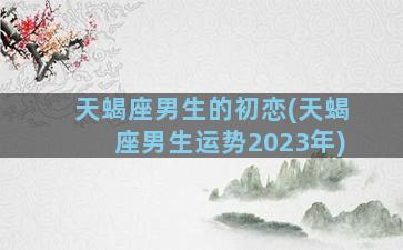 天蝎座男生的初恋(天蝎座男生运势2023年)