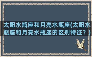 太阳水瓶座和月亮水瓶座(太阳水瓶座和月亮水瓶座的区别特征？)