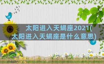 太阳进入天蝎座2021(太阳进入天蝎座是什么意思)