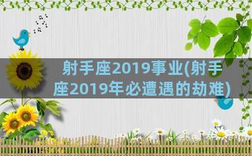 射手座2019事业(射手座2019年必遭遇的劫难)