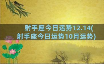 射手座今日运势12.14(射手座今日运势10月运势)