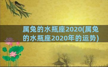 属兔的水瓶座2020(属兔的水瓶座2020年的运势)