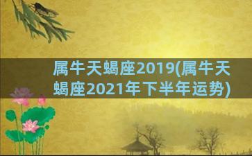 属牛天蝎座2019(属牛天蝎座2021年下半年运势)